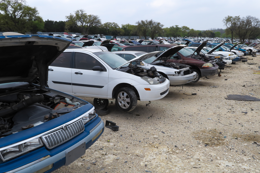Austin,,texas,Â??,march,16,2016:,rows,and,rows,of